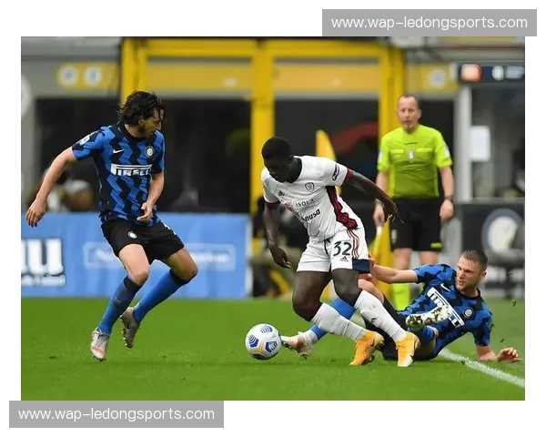 北境之雪，东海之光：探寻瑞典足球双雄——北雪平与哈尔姆的魅力